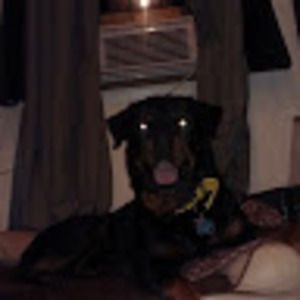 Meet your Posher, Tasha